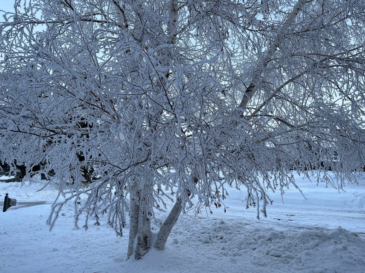 January 2023 Events, Training, and Workshops